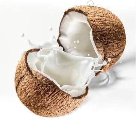 Coco Tree Coconut Juice – 1L