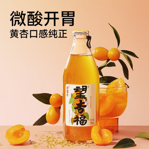 Wang Xing Fu Apricot Flavour Fat-free Bubble Juice