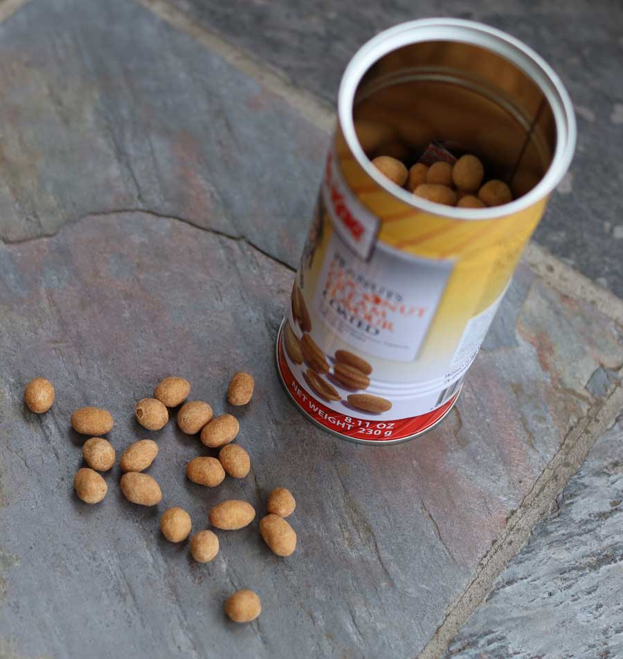 Koh Kae Snacks Peanuts Coconut Cream Flavour Coated 265g