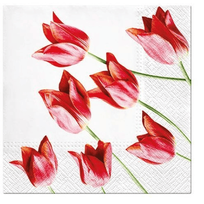 PAW Paw Lunch Napkins Red Tulips #61603 - happyinmart.com.au