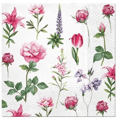PAW Paw Lunch Napkins Boons Of Garden #61604 - happyinmart.com.au