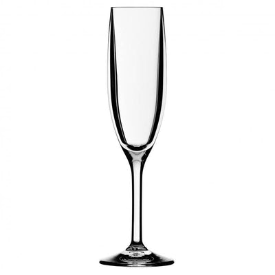 STRAHL Strahl Design+ Contemporary Champagne Flute Glasses 166ml | Set Of 12 23296 - happyinmart.com.au