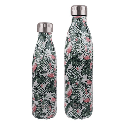 OASIS Oasis Stainless Steel Double Wall Insulated Drink Bottle Bird Of Paradise #8880BP - happyinmart.com.au