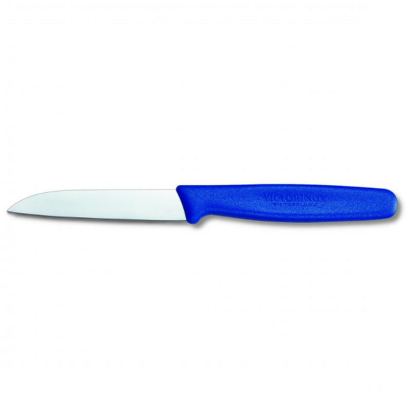Victorinox Paring Knife Straight Blade Nylon Blue 