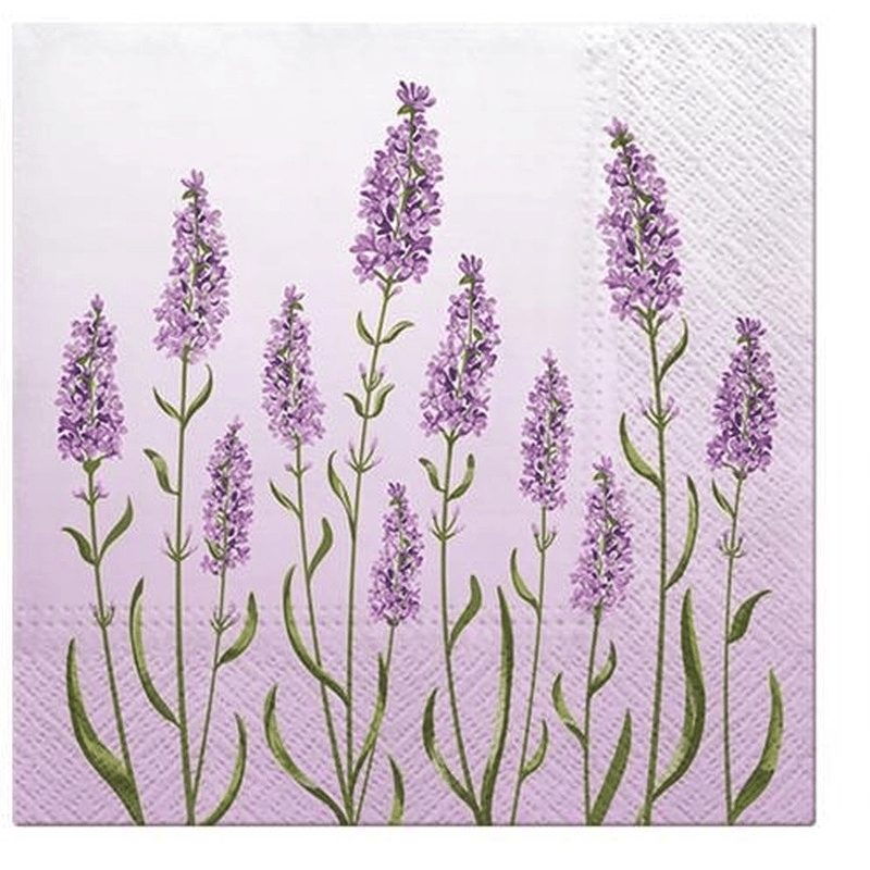 PAW Paw Lunch Napkins Lavender Field 